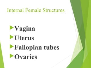Fallopian tubes 
The two tubes extended from the 
cornu of the uterus to the ovary. 
It runs in the upper free border of...