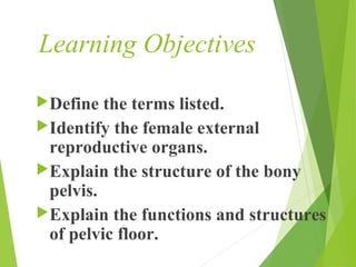 Learning Objectives 
Define the terms listed. 
Identify the female external 
reproductive organs. 
Explain the structur...
