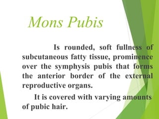 Mons Pubis 
Is rounded, soft fullness of 
subcutaneous fatty tissue, prominence 
over the symphysis pubis that forms 
the ...