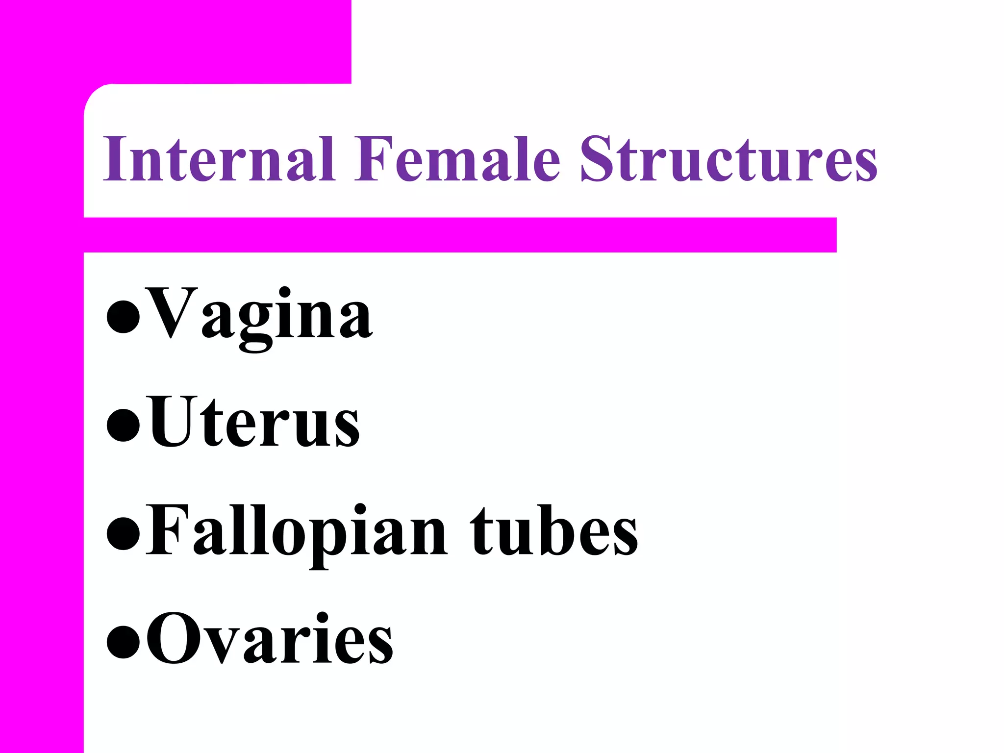 anatomyphysiologyoffemalereproductivesystem-130506124715-phpapp02.ppt