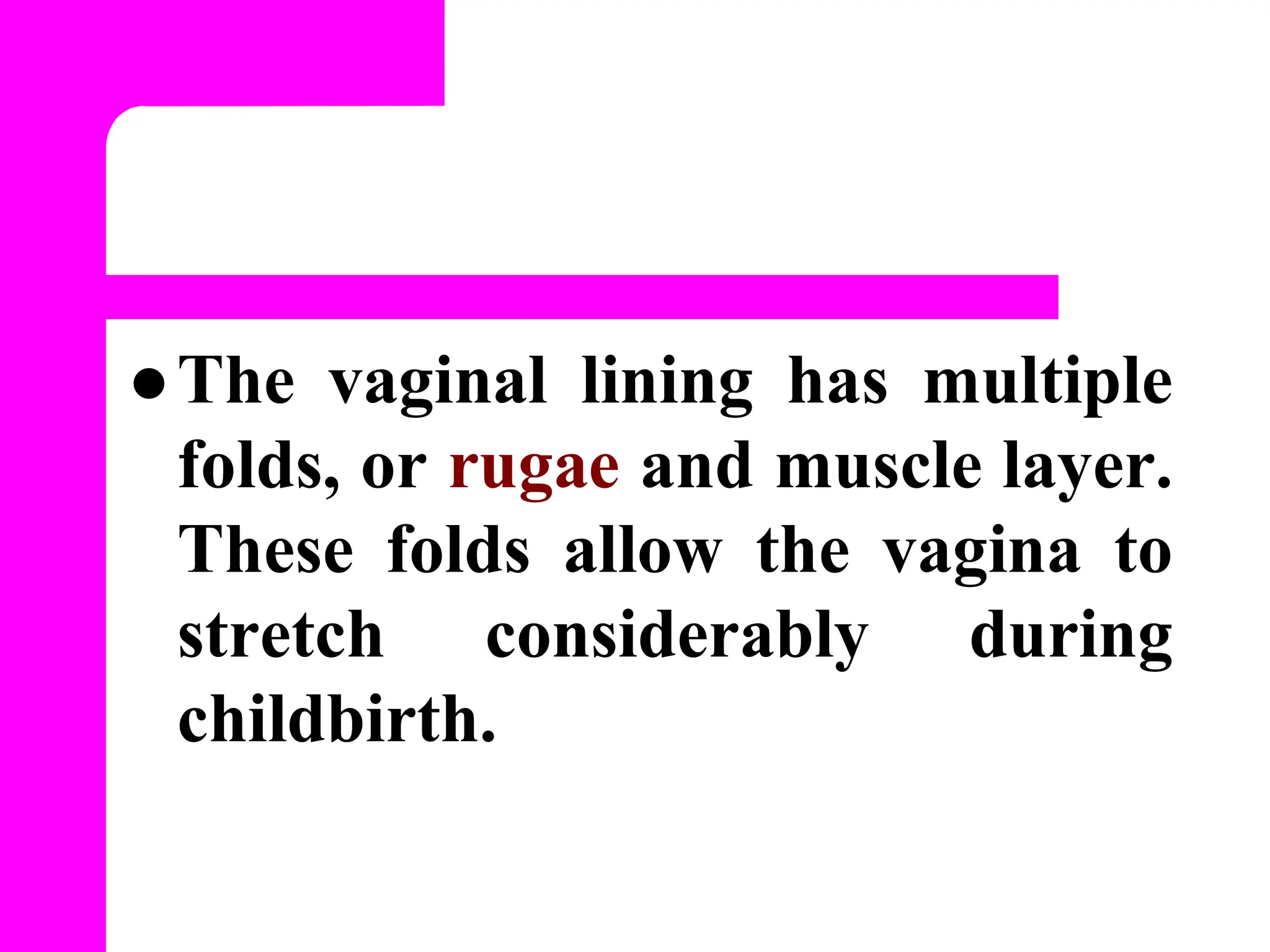 anatomyphysiologyoffemalereproductivesystem-130506124715-phpapp02.pdf