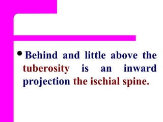 anatomyphysiologyoffemalereproductivesystem-130506124715-phpapp02.ppt