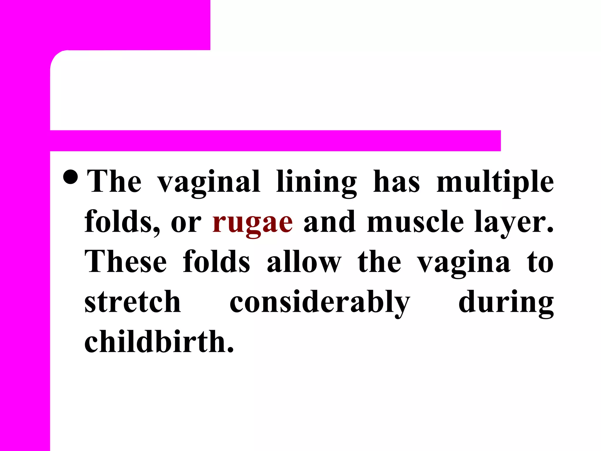Anatomy physiology of female reproductive system | PPT
