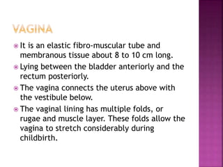 Anatomy & physiology of female reproductive system | PPTX
