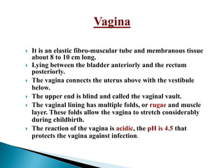 Anatomy & Physiology of Female Reproductive System..pdf