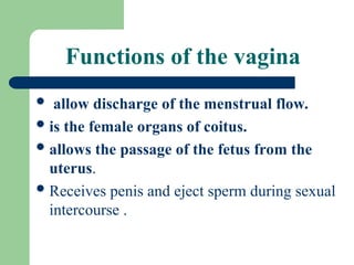 Comprehensive Anatomy Physiology Of The Female Reproductive System PPT comprehensive-anatomy-physiology-of-the-female-reproductive-system-ppt