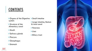 Anatomy & Physiology of GIT | PDF