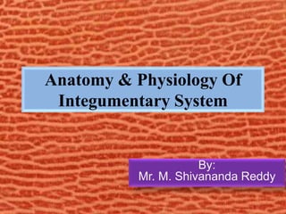 Anatomy & Physiology Of
Integumentary System
By:
Mr. M. Shivananda Reddy
 
