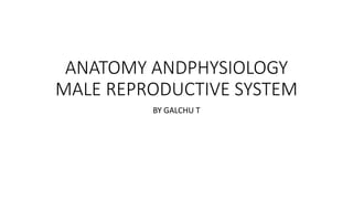 ANATOMY ANDPHYSIOLOGY
MALE REPRODUCTIVE SYSTEM
BY GALCHU T
 