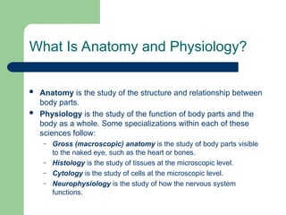 Anatomy & Physiology of MSK (Basics).ppt