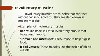 ANATOMY & PHYSIOLOGY OF MUSCLE.pptxxxxxxxx | PPTX