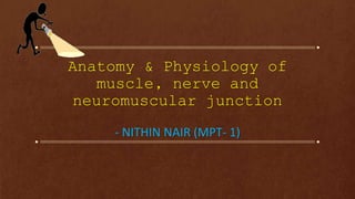 Anatomy & Physiology of
muscle, nerve and
neuromuscular junction
- NITHIN NAIR (MPT- 1)
 