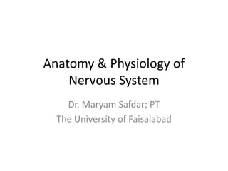 Anatomy & Physiology of
Nervous System
Dr. Maryam Safdar; PT
The University of Faisalabad
 