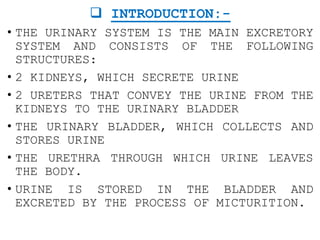 Anatomy & Physiology of Renal System.pptx