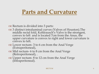 Anatomy & Physiology of the Rectum.pptx