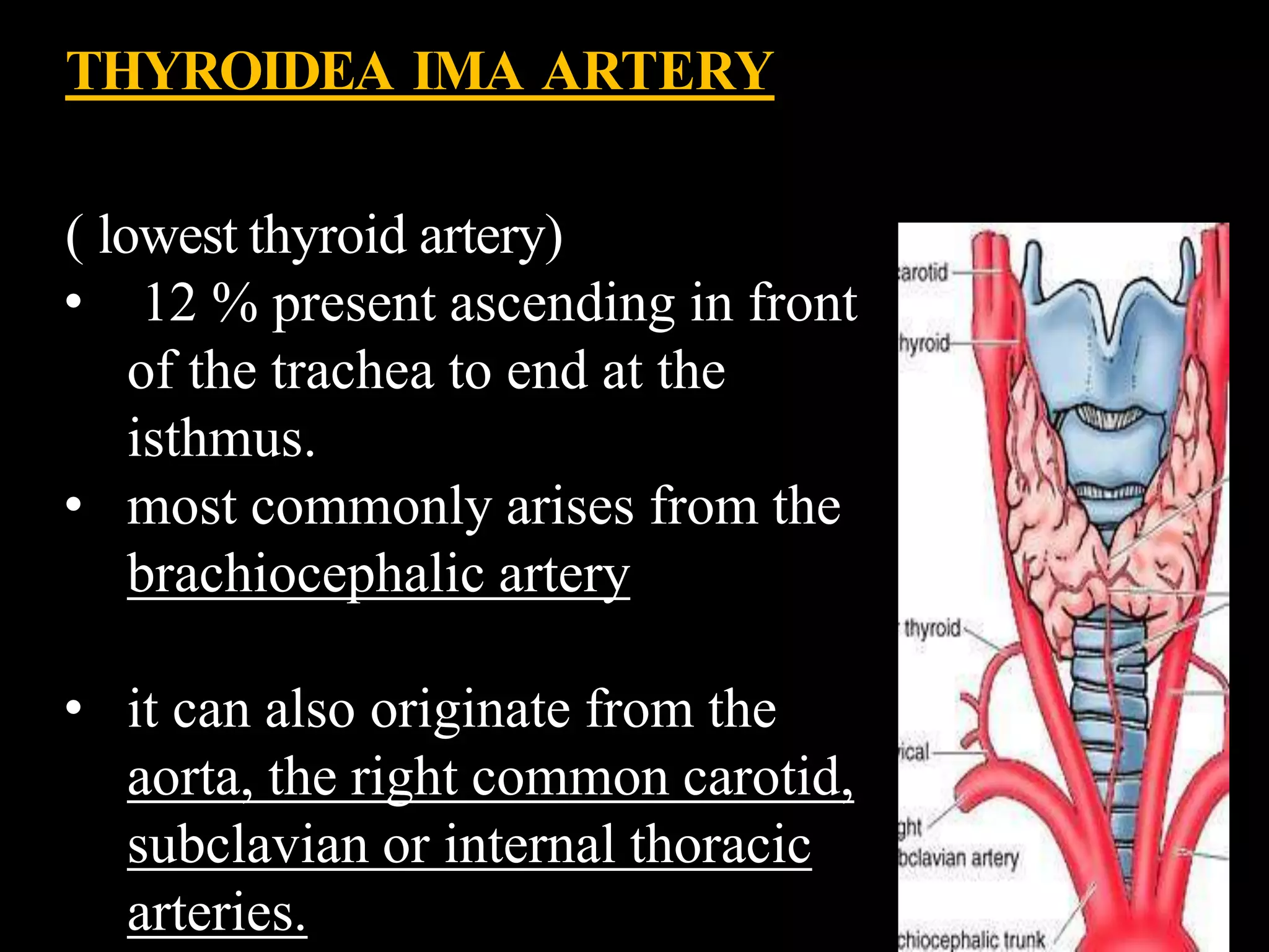 Anatomy & physiology of thyroid gland | PPTX