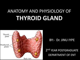 ANATOMY AND PHYSIOLOGY OF
THYROID GLAND
BY:- Dr. JINU IYPE
2nd YEAR POSTGRADUATE
DEPARTMENT OF ENT
 