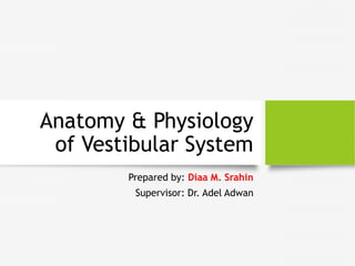 Anatomy & Physiology
of Vestibular System
Prepared by: Diaa M. Srahin
Supervisor: Dr. Adel Adwan
 