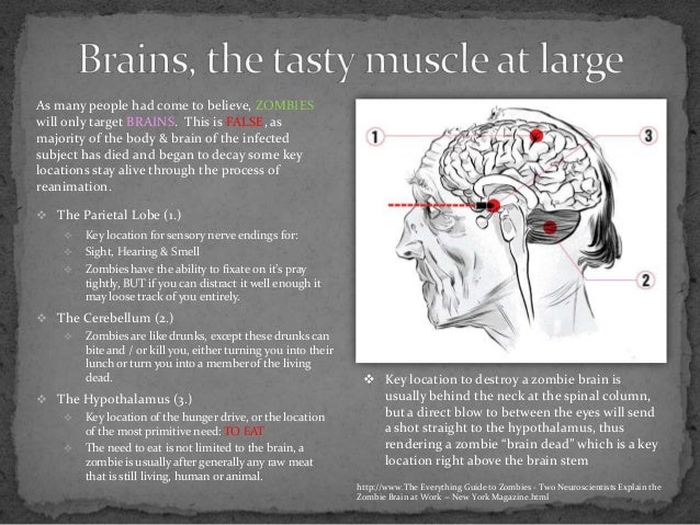 the cure for all disease how to restore your entire body to health to rid it of all disease