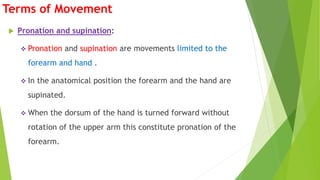 Terms of Movement
 Pronation and supination:
 Pronation and supination are movements limited to the
forearm and hand .
 In the anatomical position the forearm and the hand are
supinated.
 When the dorsum of the hand is turned forward without
rotation of the upper arm this constitute pronation of the
forearm.
 