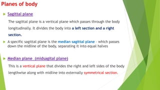 Planes of body
 Sagittal plane
The sagittal plane is a vertical plane which passes through the body
longitudinally. It divides the body into a left section and a right
section.
 A specific sagittal plane is the median sagittal plane – which passes
down the midline of the body, separating it into equal halves
 Median plane (midsagital plane)
This is a vertical plane that divides the right and left sides of the body
lengthwise along with midline into externally symmetrical section.
 