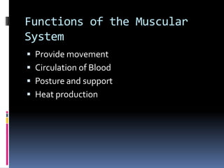 Functions of the Muscular
System
 Provide movement
 Circulation of Blood
 Posture and support

 Heat production

 