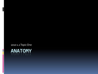 Anatomy  2010 1.2 Topic One 