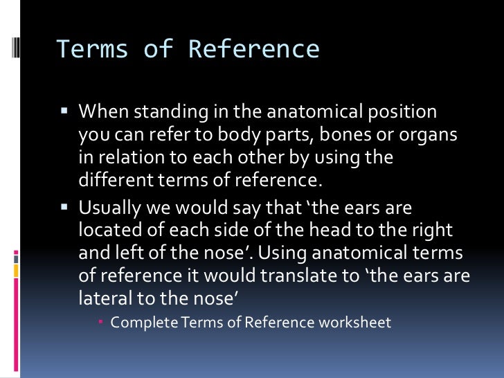 anatomical phenomena definition anatomical phenomena definition