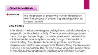 Comprehensive Study of Mrut Sharira Sanshodhana and Modern Embalming ...