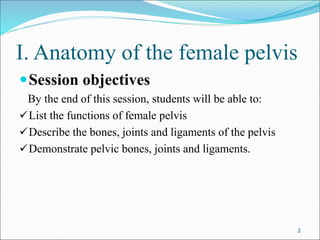 Anatomy main part and detail ppt bre.ppt