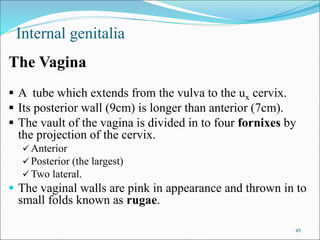 Anatomy main part and detail ppt bre.ppt