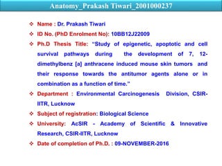  Name : Dr. Prakash Tiwari
 ID No. (PhD Enrolment No): 10BB12J22009
 Ph.D Thesis Title: “Study of epigenetic, apoptotic and cell
survival pathways during the development of 7, 12-
dimethylbenz [a] anthracene induced mouse skin tumors and
their response towards the antitumor agents alone or in
combination as a function of time.”
 Department : Environmental Carcinogenesis Division, CSIR-
IITR, Lucknow
 Subject of registration: Biological Science
 University: AcSIR - Academy of Scientific & Innovative
Research, CSIR-IITR, Lucknow
 Date of completion of Ph.D. : 09-NOVEMBER-2016
Anatomy_Prakash Tiwari_2001000237
 