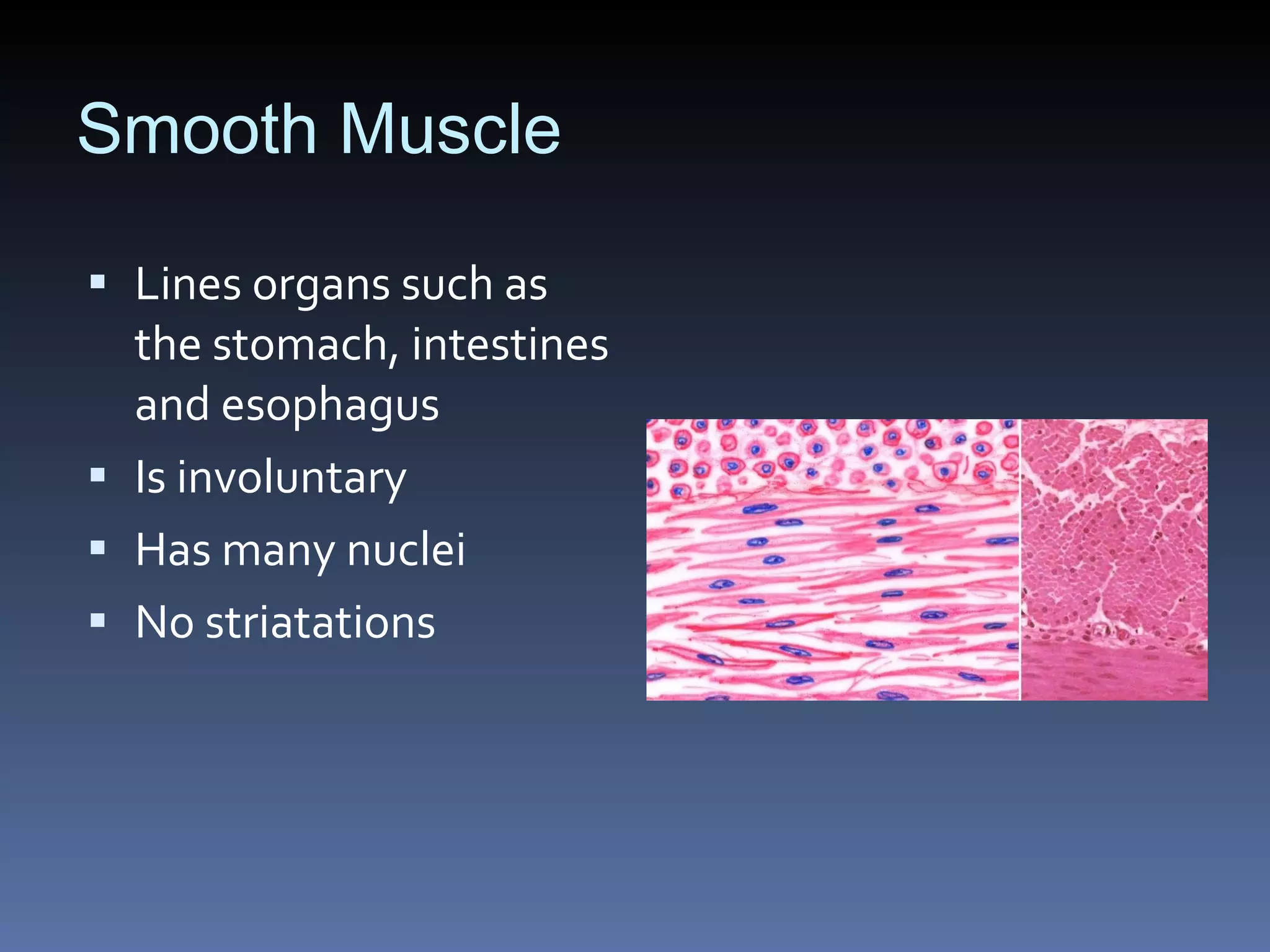 SCIENCE OLYMPIAD ANATOMY AND PHYSIOLOGY NOTES visual data 4