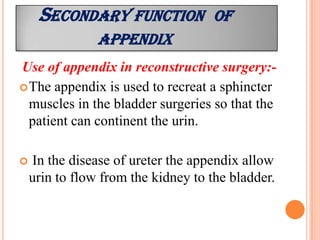 SECONDARY FUNCTION             OF
                APPENDIX
Use of appendix in reconstructive surgery:-
 The appendix is used to recreat a sphincter
  muscles in the bladder surgeries so that the
  patient can continent the urin.

   In the disease of ureter the appendix allow
    urin to flow from the kidney to the bladder.
 