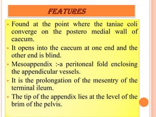 FEATURES
   Found at the point where the taniae coli
    converge on the postero medial wall of
    caecum.
   It opens into the caecum at one end and the
    other end is blind.
   Mesoappendix :-a peritoneal fold enclosing
    the appendicular vessels.
   It is the prolongation of the mesentry of the
    terminal ileum.
   The tip of the appendix lies at the level of the
    brim of the pelvis.
 