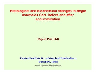 Histological and biochemical changes in Aegle
marmelos Corr. before and after
acclimatization

Rajesh Pati, PhD

Central institute for subtropical Horticulture,
Lucknow, India
e-mail: rajeshpati777@gmail.com

 