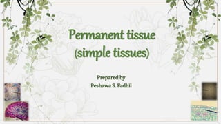 Permanent tissue
(simple tissues)
Prepared by
Peshawa S. Fadhil
 