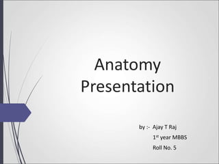 Anatomy Presentation.ppt