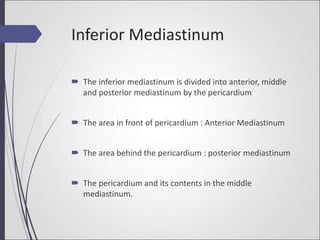 Inferior Mediastinum
 The inferior mediastinum is divided into anterior, middle
and posterior mediastinum by the pericardium
 The area in front of pericardium : Anterior Mediastinum
 The area behind the pericardium : posterior mediastinum
 The pericardium and its contents in the middle
mediastinum.
 