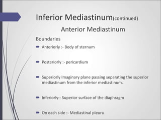 Anterior Mediastinum
Boundaries
 Anteriorly :- Body of sternum
 Posteriorly :- pericardium
 Superiorly Imaginary plane passing separating the superior
mediastinum from the inferior mediastinum.
 Inferiorly:- Superior surface of the diaphragm
 On each side :- Mediastinal pleura
Inferior Mediastinum(continued)
 