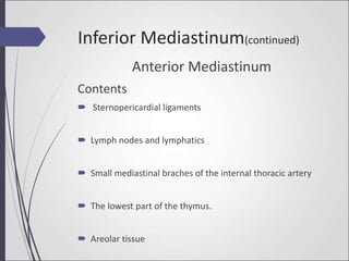 Anterior Mediastinum
Contents
 Sternopericardial ligaments
 Lymph nodes and lymphatics
 Small mediastinal braches of the internal thoracic artery
 The lowest part of the thymus.
 Areolar tissue
Inferior Mediastinum(continued)
 