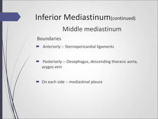 Middle mediastinum
Boundaries
 Anteriorly :- Sternopericardial ligaments
 Posteriorly :- Oesophagus, descending thoracic aorta,
azygos vein
 On each side :- mediastinal pleura
Inferior Mediastinum(continued)
 