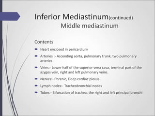 Middle mediastinum
Contents
 Heart enclosed in pericardium
 Arteries :- Ascending aorta, pulmonary trunk, two pulmonary
arteries
 Veins:- Lower half of the superior vena cava, terminal part of the
azygos vein, right and left pulmonary veins.
 Nerves:- Phrenic, Deep cardiac plexus
 Lymph nodes:- Tracheobronchial nodes
 Tubes:- Bifurcation of trachea, the right and left principal bronchi
Inferior Mediastinum(continued)
 