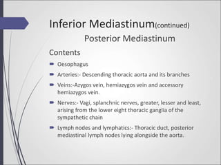 Posterior Mediastinum
Contents
 Oesophagus
 Arteries:- Descending thoracic aorta and its branches
 Veins:-Azygos vein, hemiazygos vein and accessory
hemiazygos vein.
 Nerves:- Vagi, splanchnic nerves, greater, lesser and least,
arising from the lower eight thoracic ganglia of the
sympathetic chain
 Lymph nodes and lymphatics:- Thoracic duct, posterior
mediastinal lymph nodes lying alongside the aorta.
Inferior Mediastinum(continued)
 