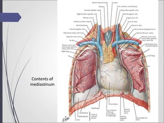 Contents of
mediastinum
 