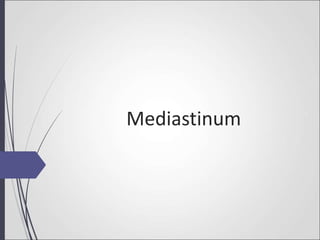 Mediastinum
 