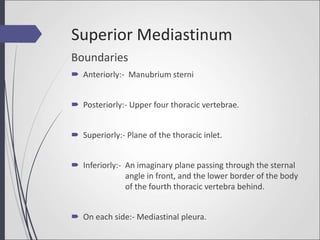 Superior Mediastinum
Boundaries
 Anteriorly:- Manubrium sterni
 Posteriorly:- Upper four thoracic vertebrae.
 Superiorly:- Plane of the thoracic inlet.
 Inferiorly:- An imaginary plane passing through the sternal
angle in front, and the lower border of the body
of the fourth thoracic vertebra behind.
 On each side:- Mediastinal pleura.
 