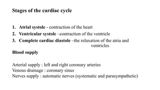 anatomy presentation [Autosaved]thesis.pptx