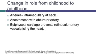 Change in role from childhood to
adulthood.
 Arteries- intramedullary at neck.
 Anastomose with obturator artery.
 Epiphyseal cartilage prevents retinacular artery
vascularising the head.
Virtual Anatomy Lab: Study notes. (2015). 1st ed. [ebook] Ottawa, p.1. Available at:
http://www.med.uottawa.ca/research/edemonstrator/w1/en/EN-study-notes-week-1.pdf [Accessed 19 Mar. 2015].
 