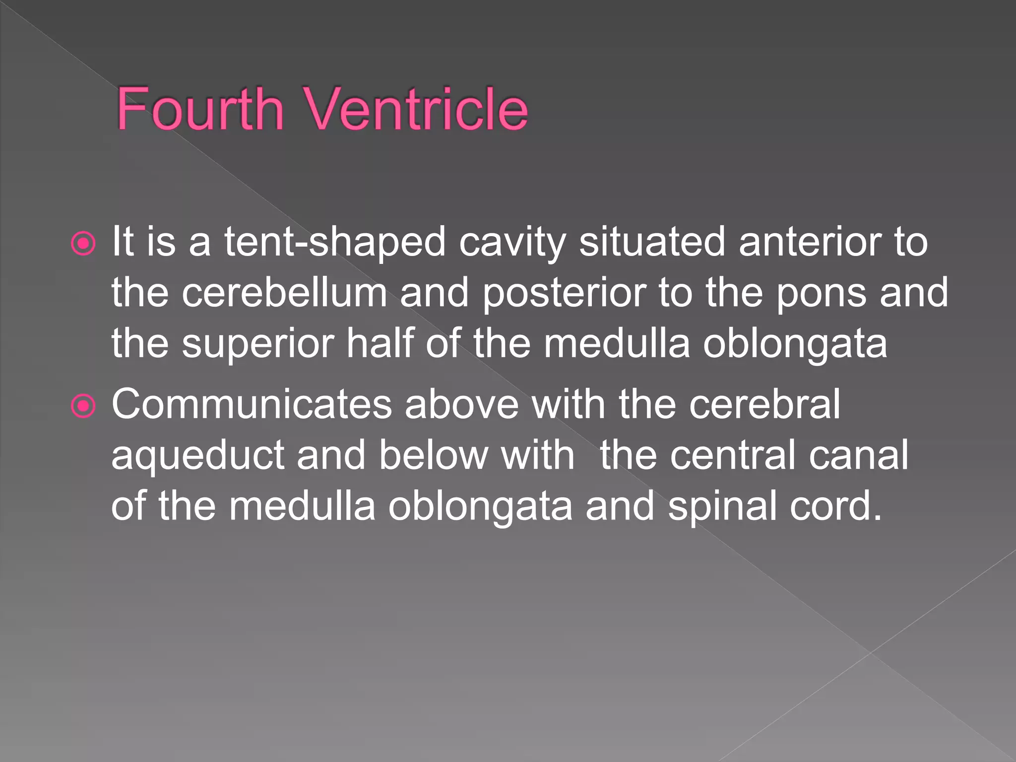  It is a tent-shaped cavity situated anterior to
the cerebellum and posterior to the pons and
the superior half of the medulla oblongata
Communicates above with the cerebral
aqueduct and below with the central canal
of the medulla oblongata and spinal cord.